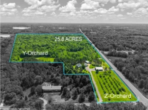property-lines-aerial-photography-25-acre-orchard-land-minnesota-Chris-Blaeser-UAV-Vision-Media
